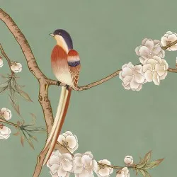SAKURA NG | Carta da parati fiori e uccellini